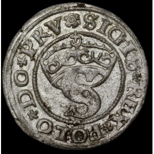 Sigismondo I il Vecchio, Szeląg 1529, Toruń