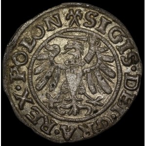 Sigismund I the Old, Szeląg 1539, Gdańsk—variant