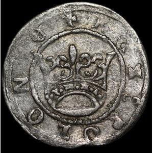Sigismund I the Old, Undated Half-Grosz, Kraków - REX - rare