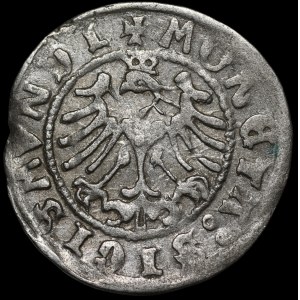 Sigismund I the Old, Undated Half-Grosz, Kraków - REX - rare