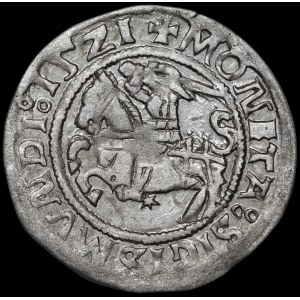 Zygmunt I Stary, Półgrosz 1521, Wilno - dwukropek