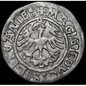 Zygmunt I Stary, Półgrosz 1521, Wilno - dwukropek