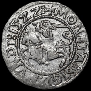 Zygmunt I Stary, Półgrosz 1522, Wilno - dwukropki