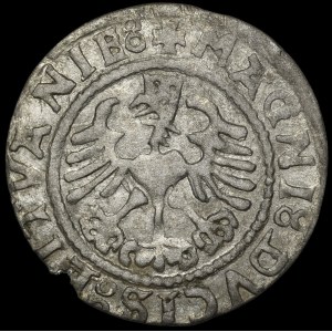 Sigismund I the Old, Half-Groschen, 1529, Vilnius - V - a series of errors - very rare