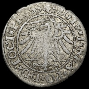 Sigismund I the Old, Grosch, 1534, Elbląg