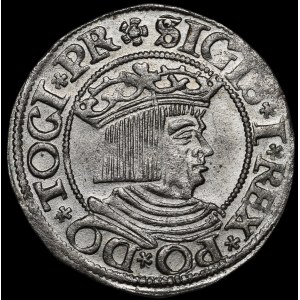 Sigismund I the Old, grosz, 1534, Gdańsk - PR