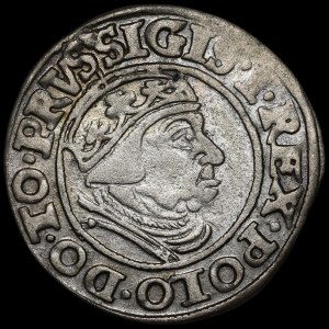 Sigismund I the Old, 1538 grosz, Gdańsk—uninscribed and extremely rare