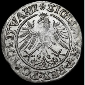 Zygmunt I Stary, Grosz 1535, Wilno - LITVANI/LITVAN - piękny i nieopisany