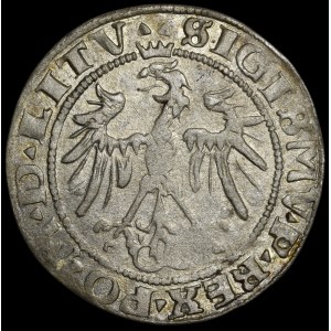 Sigismund I. der Alte, Groschen 1536, Vilnius – Buchstabe F – LITV/LITVA – selten