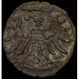 Sigismund II Augustus, Denarius, 1554, Gdańsk – rare