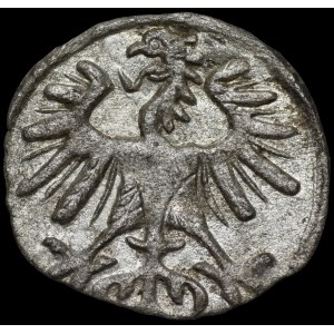 Sigismond II Auguste, denier de 1554, Vilnius