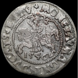 Sigismund II. August, Halbgroschen 1546, Vilnius – älterer Adler-Typ – L/LITV