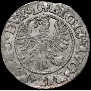 Sigismund II. August, Halbgroschen 1546, Vilnius – älterer Adler-Typ – L/LITV