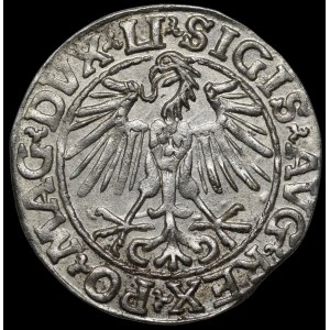 Sigismund II Augustus, Half-Grosz, 1548, Vilnius—Arabic 1, LI/LITVA—beautiful