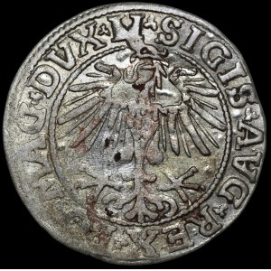 Sigismund II Augustus, Half-Grosz, 1550, Vilnius - LI/LITVA - A instead of V - extremely rare and undescribed