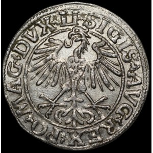 Sigismund II Augustus, Half-Grosz, 1550, Vilnius - LI/LITVA