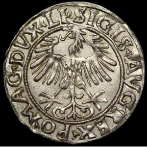 Sigismund II Augustus, Half-Groschen, 1556, Vilnius - LI/LITVA - beautiful