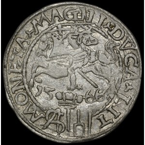 Sigismund II Augustus, Polish foot grosz, 1566, Tykocin