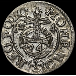 Sigismund III. Wasa, Półtorak 1624, Bydgoszcz – ein Bär auf einem Zierschild