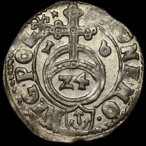 Sigismond III Vasa, Półtorak 1616, Cracovie - Un sauge dans un bouclier simple