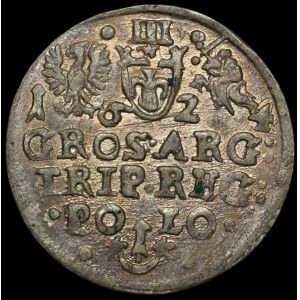 Sigismondo III Vasa, Trojak 1624, Cracovia
