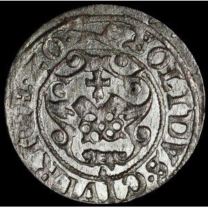 Zygmunt III Waza, Szeląg 1620, Ryga - liszka w prawo