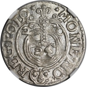 Sigismund III Vasa, 1620 Półtorak, Bydgoszcz—a Saxon in an oval shield—beautiful