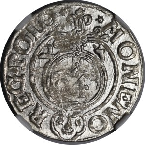 Sigismond III Vasa, Półtorak 1621, Bydgoszcz – Un cerf dans un bouclier ovale – magnifique