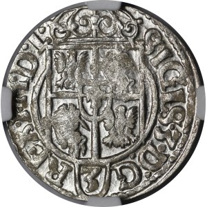 Sigismond III Vasa, Półtorak 1621, Bydgoszcz – Un cerf dans un bouclier ovale – magnifique