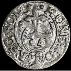 Sigismund III Vasa, 1621 Półtorak, Bydgoszcz—A Saxon in an oval shield