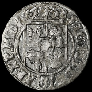 Sigismund III Vasa, 1621 Półtorak, Bydgoszcz—A Saxon in an oval shield