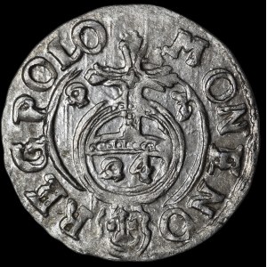 Sigismund III Vasa, 1623 “Półtorak,” Bydgoszcz—A Saxon in a decorative shield