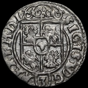 Sigismund III Vasa, 1623 “Półtorak,” Bydgoszcz—A Saxon in a decorative shield