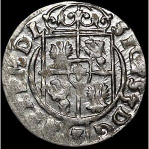 Sigismond III Vasa, Półtorak 1623, Bydgoszcz – Un saureau sur un bouclier ovale