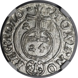 Sigismund III Vasa, 1624 Półtorak, Bydgoszcz—A Saxon in an oval shield—beautiful