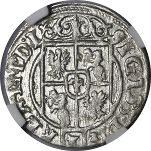 Sigismund III Vasa, 1624 Półtorak, Bydgoszcz—A Saxon in an oval shield—beautiful