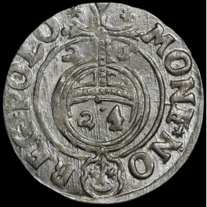 Zygmunt III. Vasa, Półtorak 1625, Bydhošť – Sas na ozdobném štítu – krásný