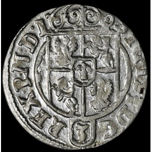 Zygmunt III. Vasa, Półtorak 1625, Bydhošť – Sas na ozdobném štítu – krásný