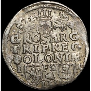 Sigismond III Vasa, Trojak de 1596, Poznań – tête étroite, brindille – plus rare