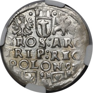 Sigismond III Vasa, Trojak 1597, Poznań - brindille, SIG 3