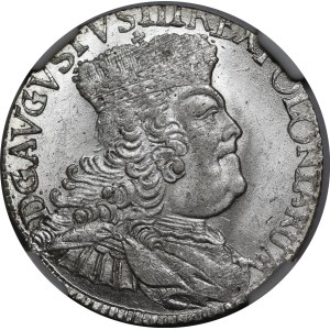 August III Sas, Ort 1756 EC, Lipsk - szerokie popiersie - piękny