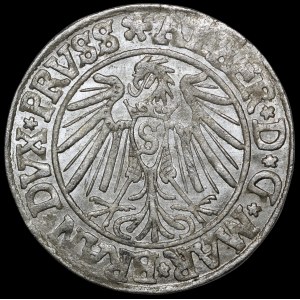 Prusy Książęce, Albrecht Hohenzollern, Grosz 1540, Królewiec - piękny