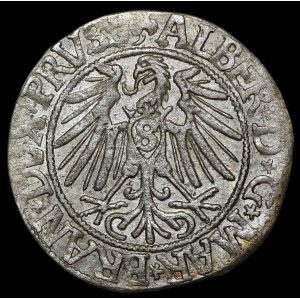 Prusy Książęce, Albrecht Hohenzollern, Grosz 1543, Królewiec