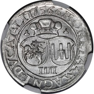 Sigismondo II Augusto, Czworak 1566, Vilnius - L/LIT - bellissimo