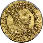 Žiūrėti panašius