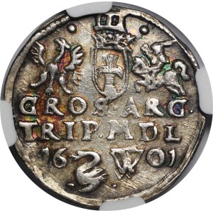 Sigismund III Vasa, 1601 Trojak, Vilnius - Swan - rare