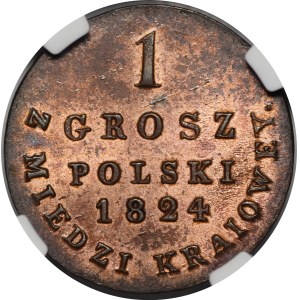 Kongresové království, Alexandr I., 1 groš 1824 IB z MIEDZI KRAIOWEY, Varšava
