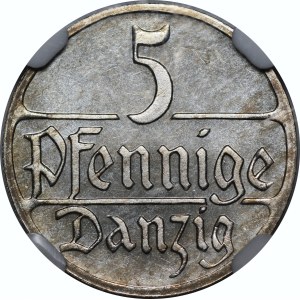 5 fenig del 1923 - SPECCHIATA