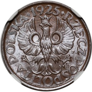 1 grosz, 1925