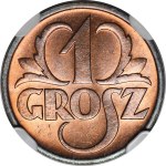 Hasonlók megtekintése